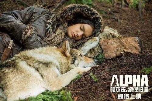 法国电影狼在线观看,法国惊悚电影,在线惊悚体验 第2张 法国电影狼在线观看,法国惊悚电影,在线惊悚体验 第2张