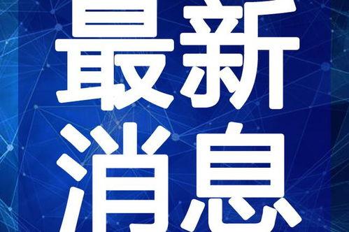 粥铺老板爆料视频大全最新,揭秘视频大全背后的惊人真相