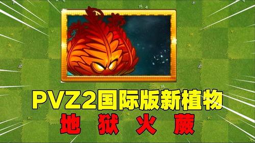最新国际植物爆料,揭秘自然界中的绿色奇迹