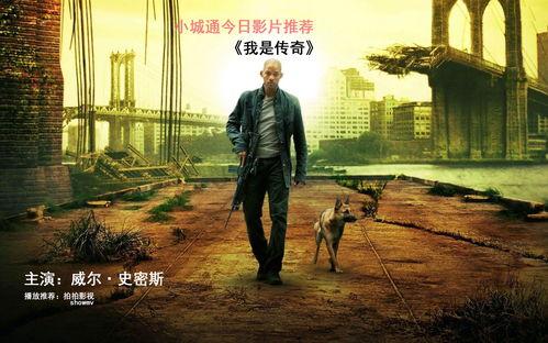 我是传奇在线观看,孤独英雄的末日求生之旅 第1张 我是传奇在线观看,孤独英雄的末日求生之旅 第1张