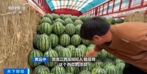 西藏扎西枫丹娱乐吃瓜,吃瓜群众眼中的神秘娱乐王国  第3张