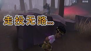 博士剧情原神爆料视频大全,揭秘爆料视频中的隐藏线索与精彩片段  第3张