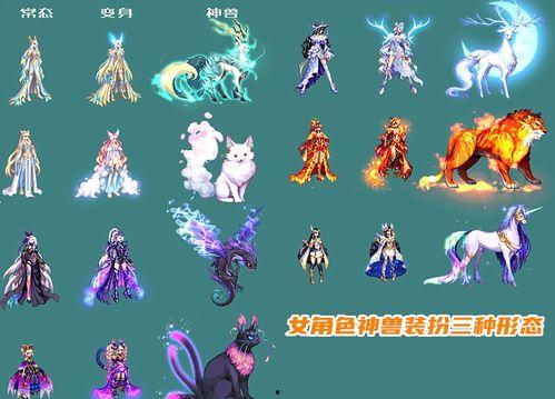 龙袍模型改版爆料视频下载  第3张