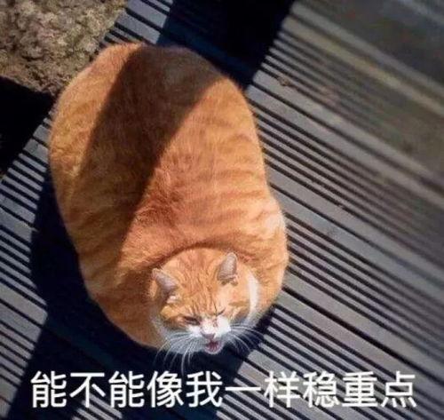 小马慢慢黑料爆料最新内容,揭秘娱乐圈惊人内幕 第2张 小马慢慢黑料爆料最新内容,揭秘娱乐圈惊人内幕 第2张